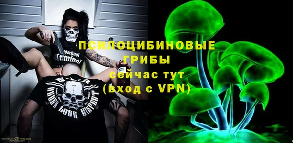 крисы Архангельск