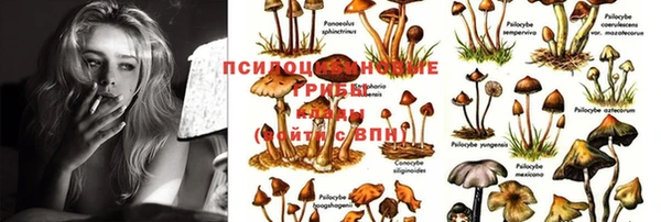 кокс Чита