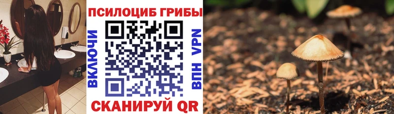 Галлюциногенные грибы Psilocybine cubensis  Купить где  Лысьва 